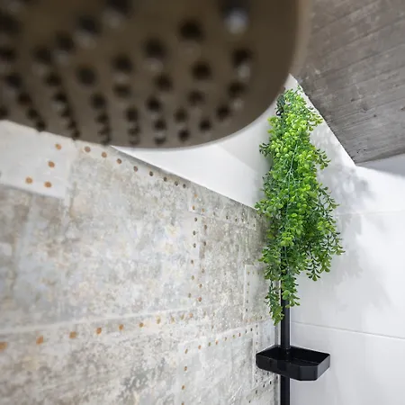 Nomada Castillo _ Vut-le-251