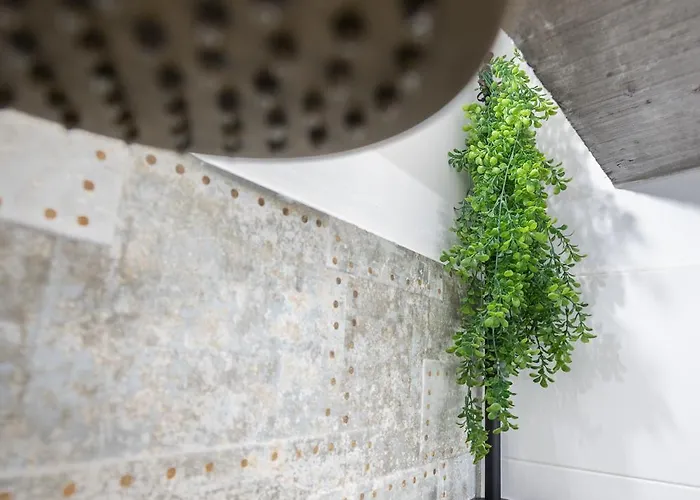 Nomada Castillo _ Vut-le-251